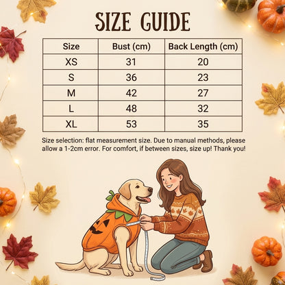 Spooky Pumpkin Dog Costume