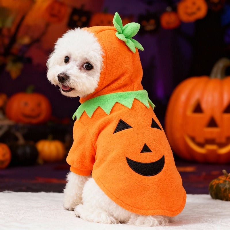 Orange pumpkin costume for dogs, Halloween outfit