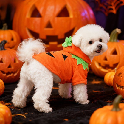 Orange pumpkin costume for dogs, Halloween outfit