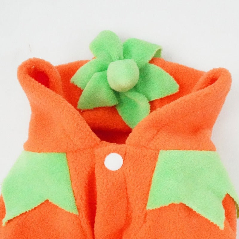 Orange pumpkin costume for dogs, Halloween outfit