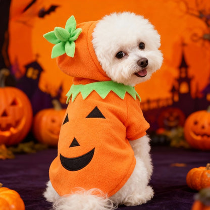 Orange pumpkin costume for dogs, Halloween outfit