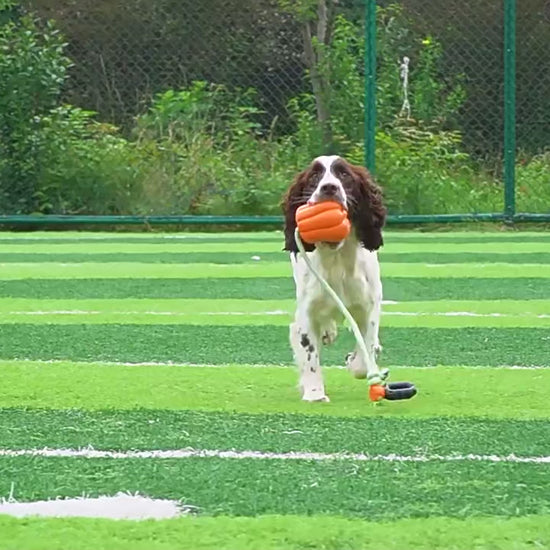 Interactive Pumpkin Squeaky Dog Toy with Durable Rope Handle