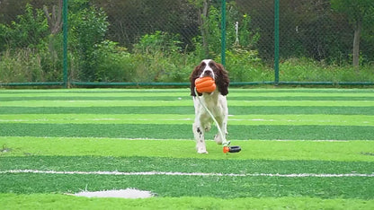 Interactive Pumpkin Squeaky Dog Toy with Durable Rope Handle
